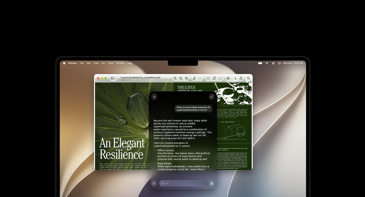 macOS 27 Golden Gate running on a Mac